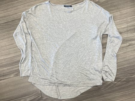 Top Long Sleeve By Tahari By Arthur Levine In Grey, Size: S Online Hot Sale